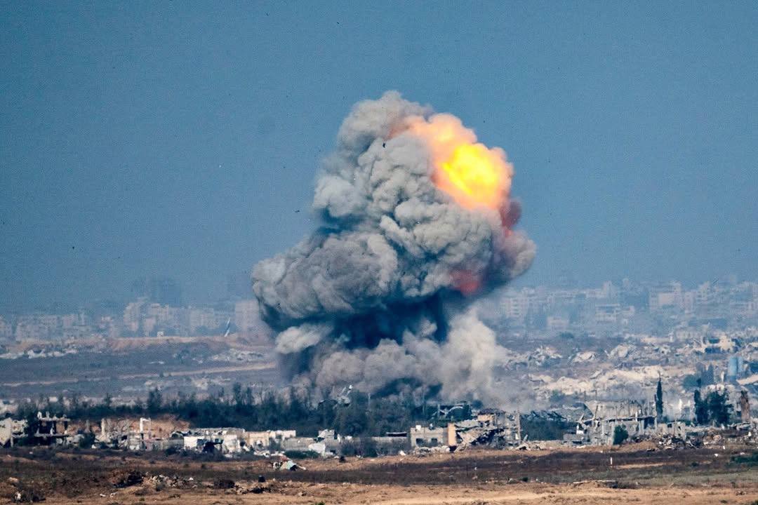 صورة الخبر