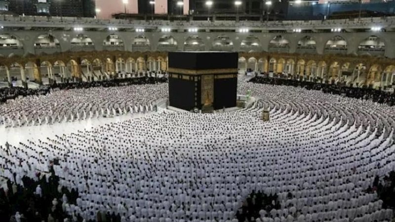 صورة الخبر