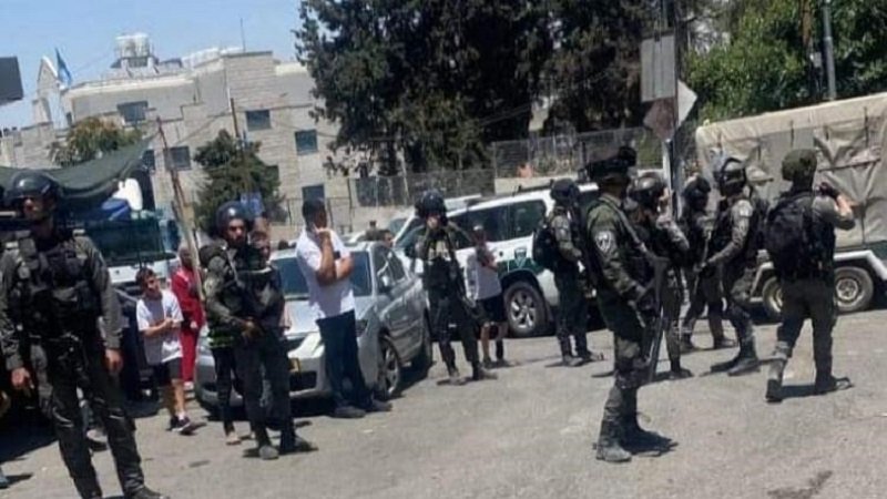 صورة الخبر