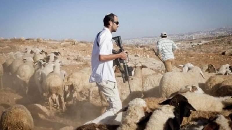 صورة الخبر