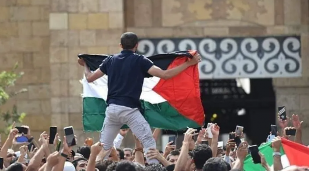 صورة الخبر