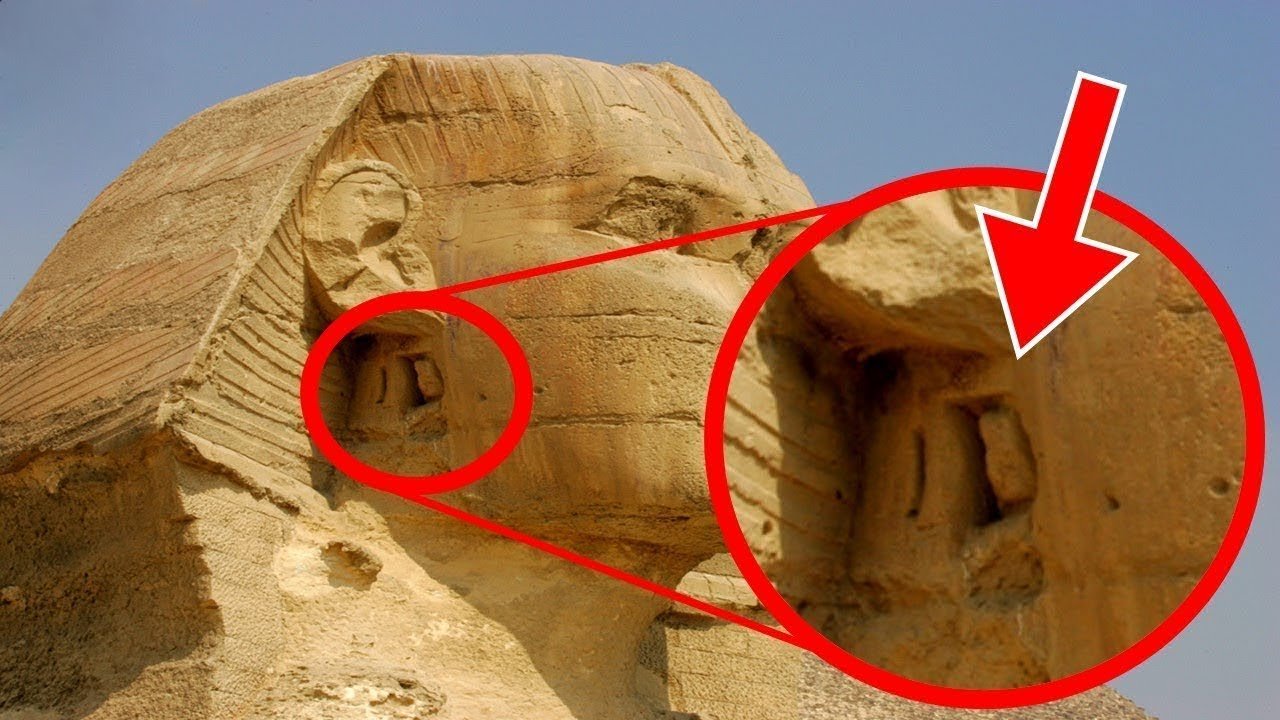 صورة الخبر