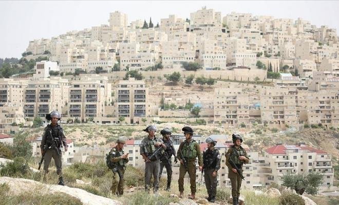 صورة الخبر