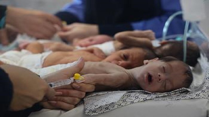 صورة الخبر