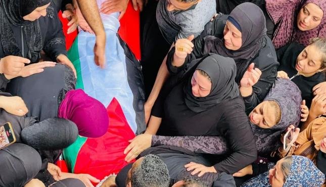 صورة الخبر