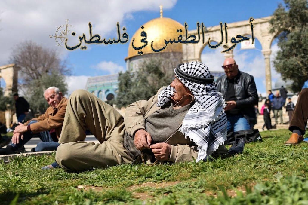 صورة الخبر