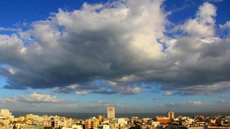 صورة الخبر