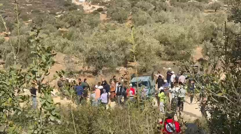 صورة الخبر