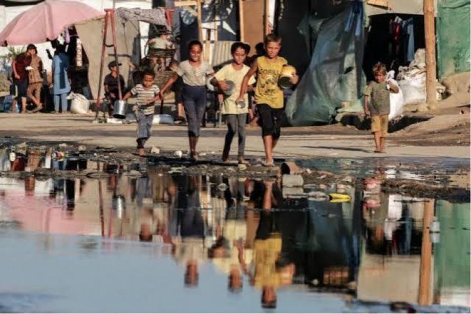 صورة الخبر