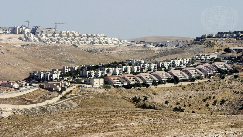 صورة الخبر