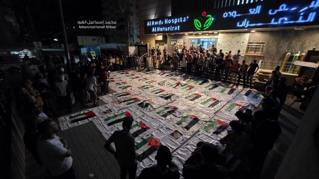 صورة الخبر