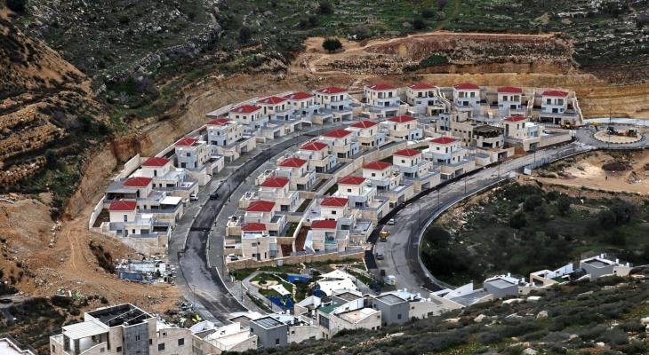 صورة الخبر