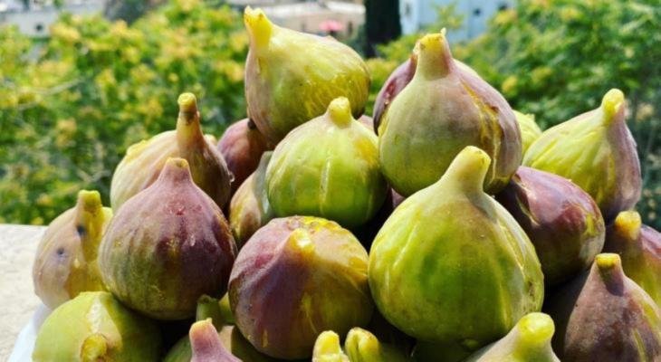 صورة الخبر